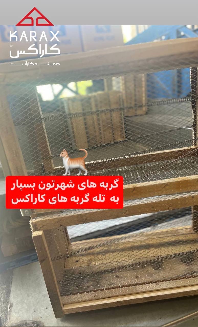 تله موش قفسه ای