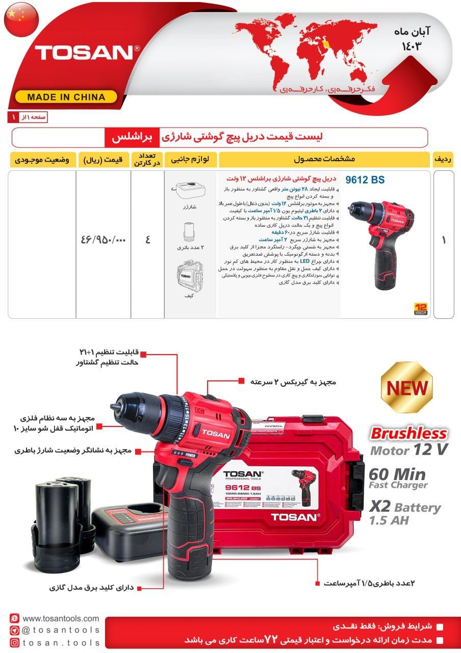 دریل پیچ گوشتی براشلس توسن