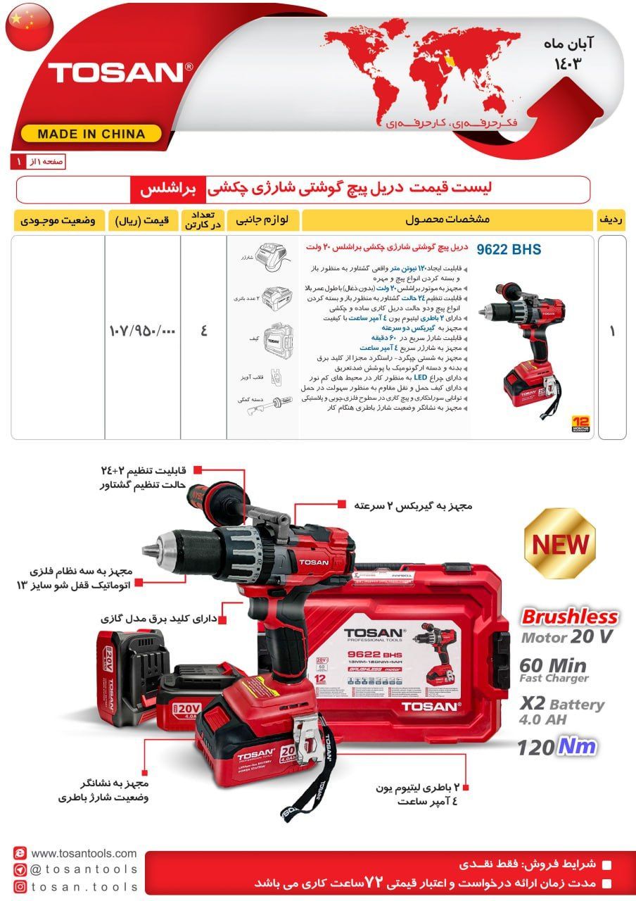دریل پیچ گوشتی براشلس توسن