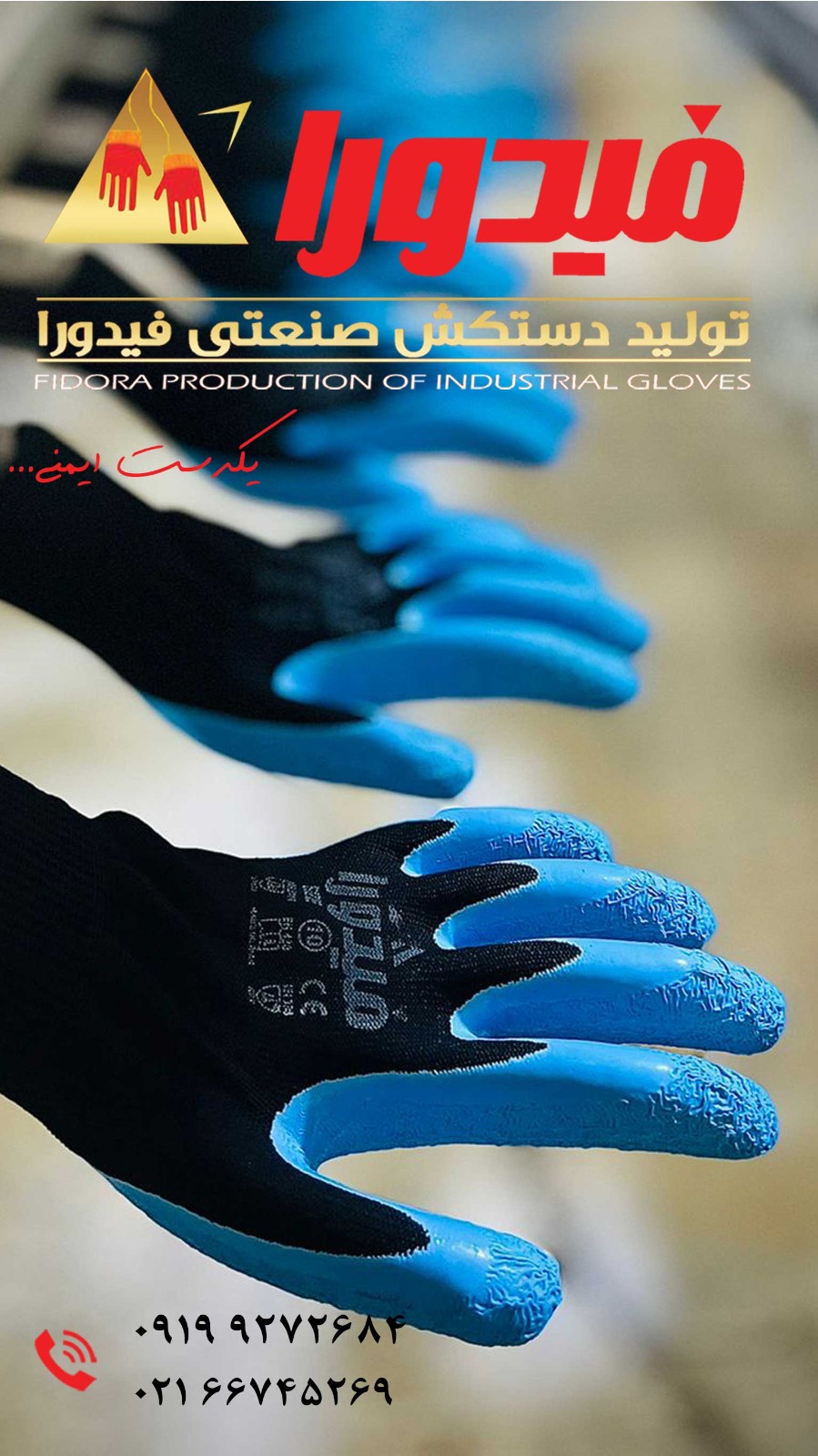 دستکش فیدورا