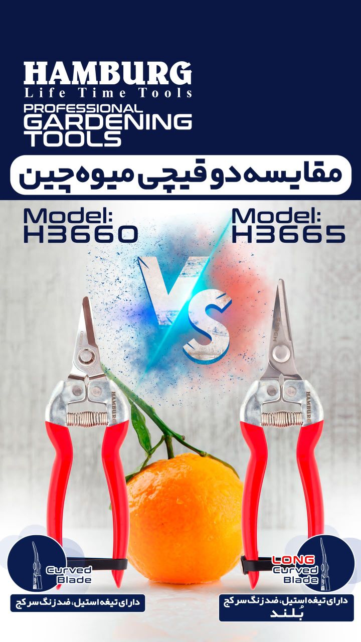 قیچی میوه چینی هامبورگ در دو سایز مختلف