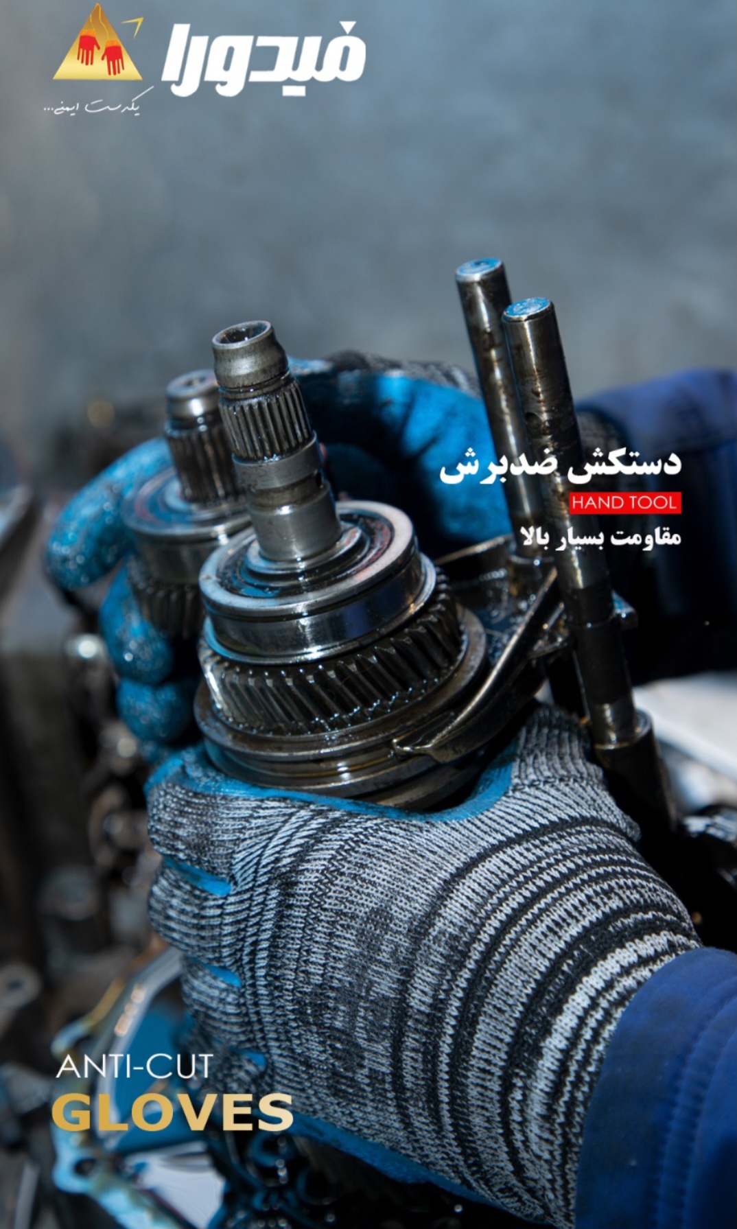دستکش فیدورا