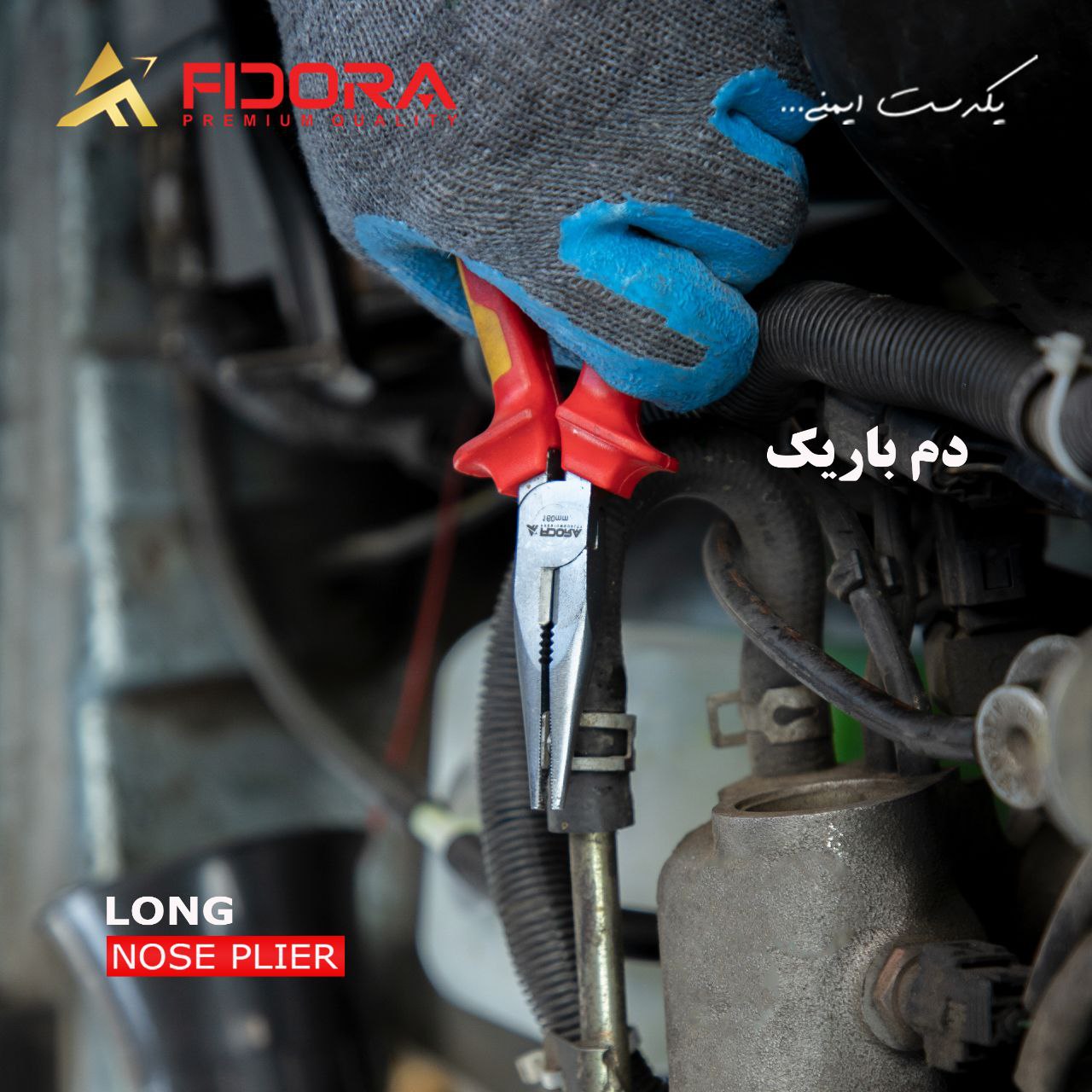 دم باریک فیدورا