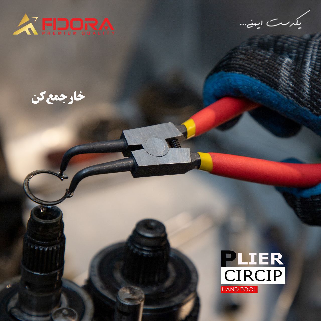 خار جمع کن سر کج فیدورا