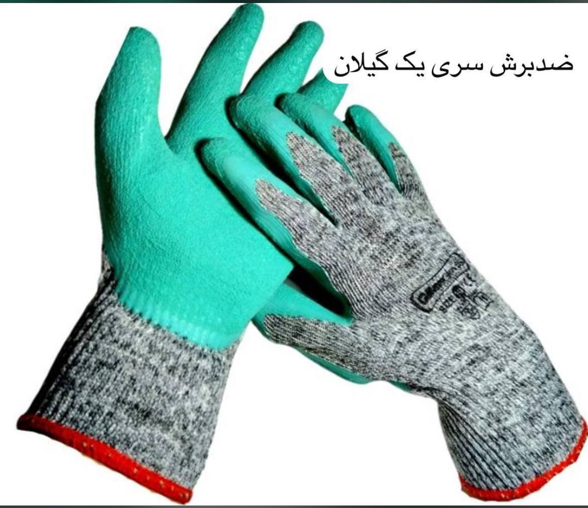 نمایندگی محصولات گیلان