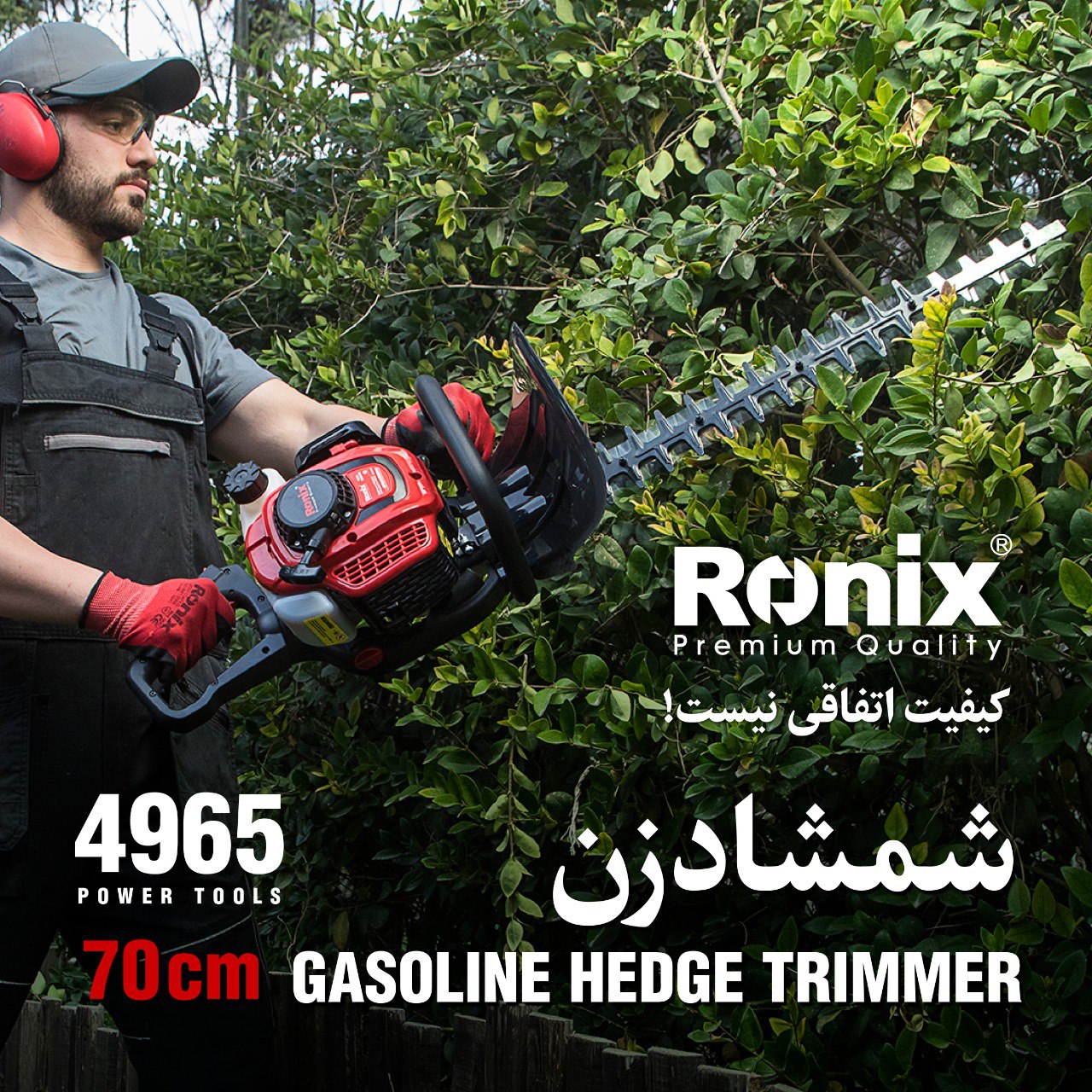  شمشاد زن4965 رونیکس 