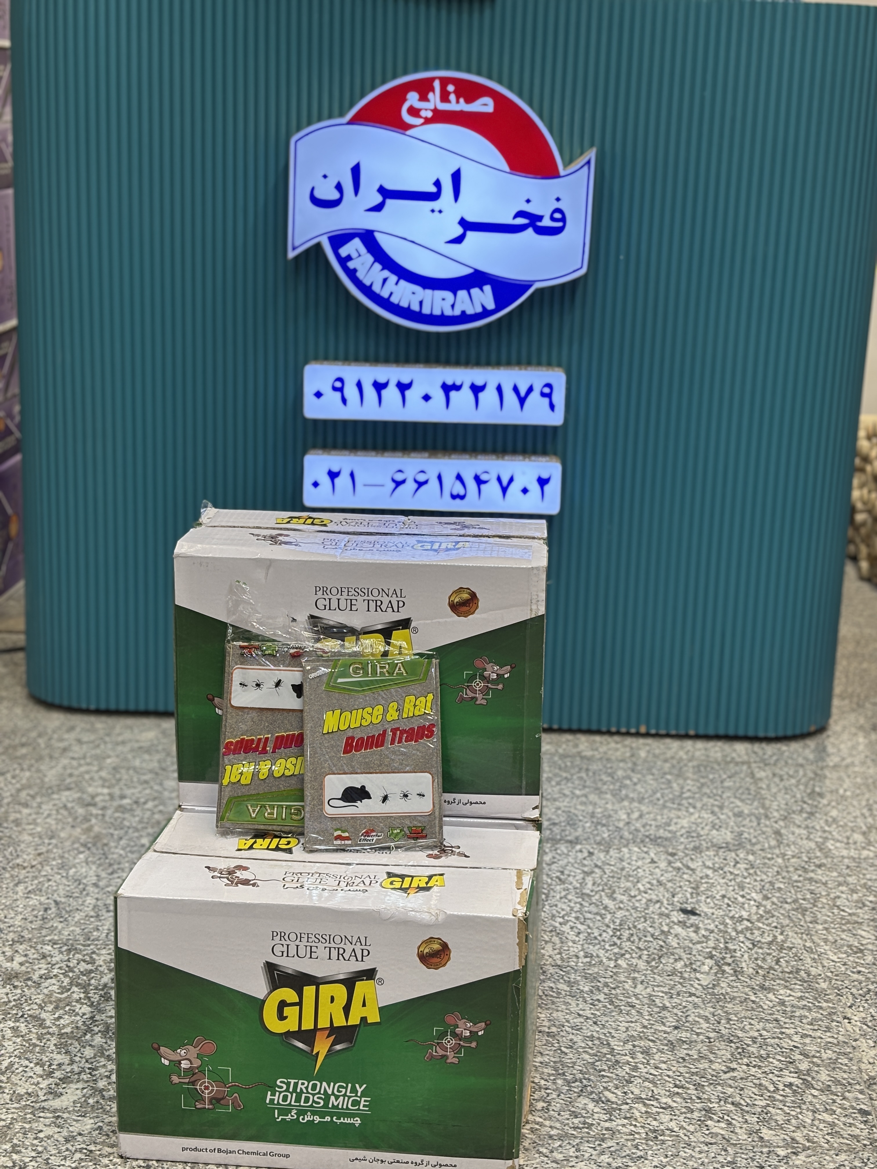 چسب موش