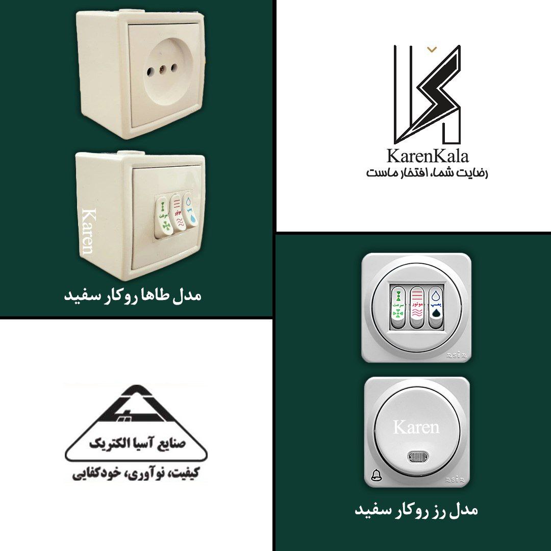 پخش عمده محصولات اسیا الکتریک