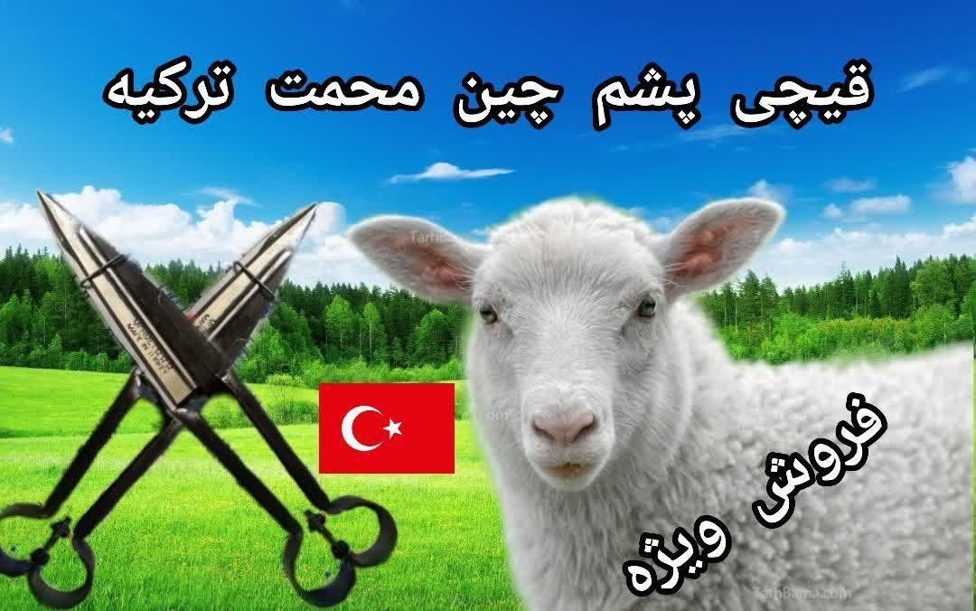 ⭕️ قیچی پشم زنی ترک