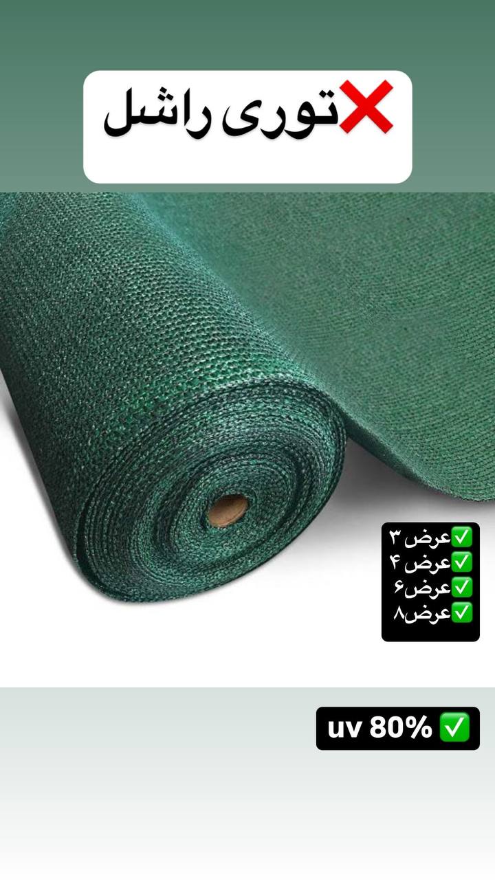 توری راشل ((شیلد))