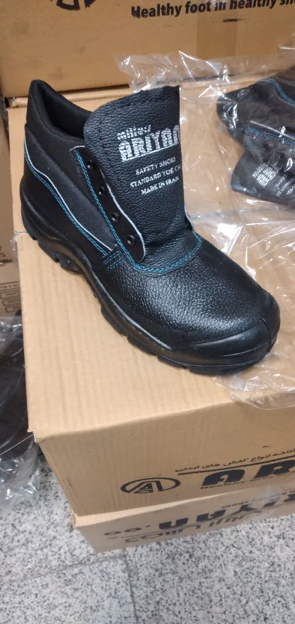 پوتین ایمنی اریا