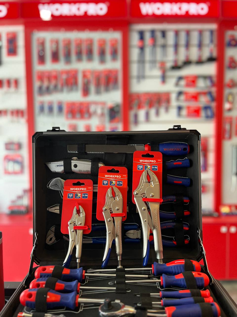 پخش انبرقفلی ورک پرو