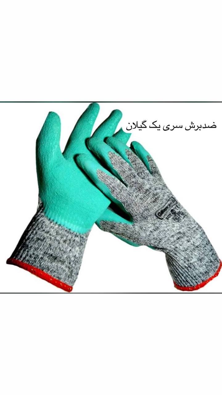 نمایندگی محصولات گیلان