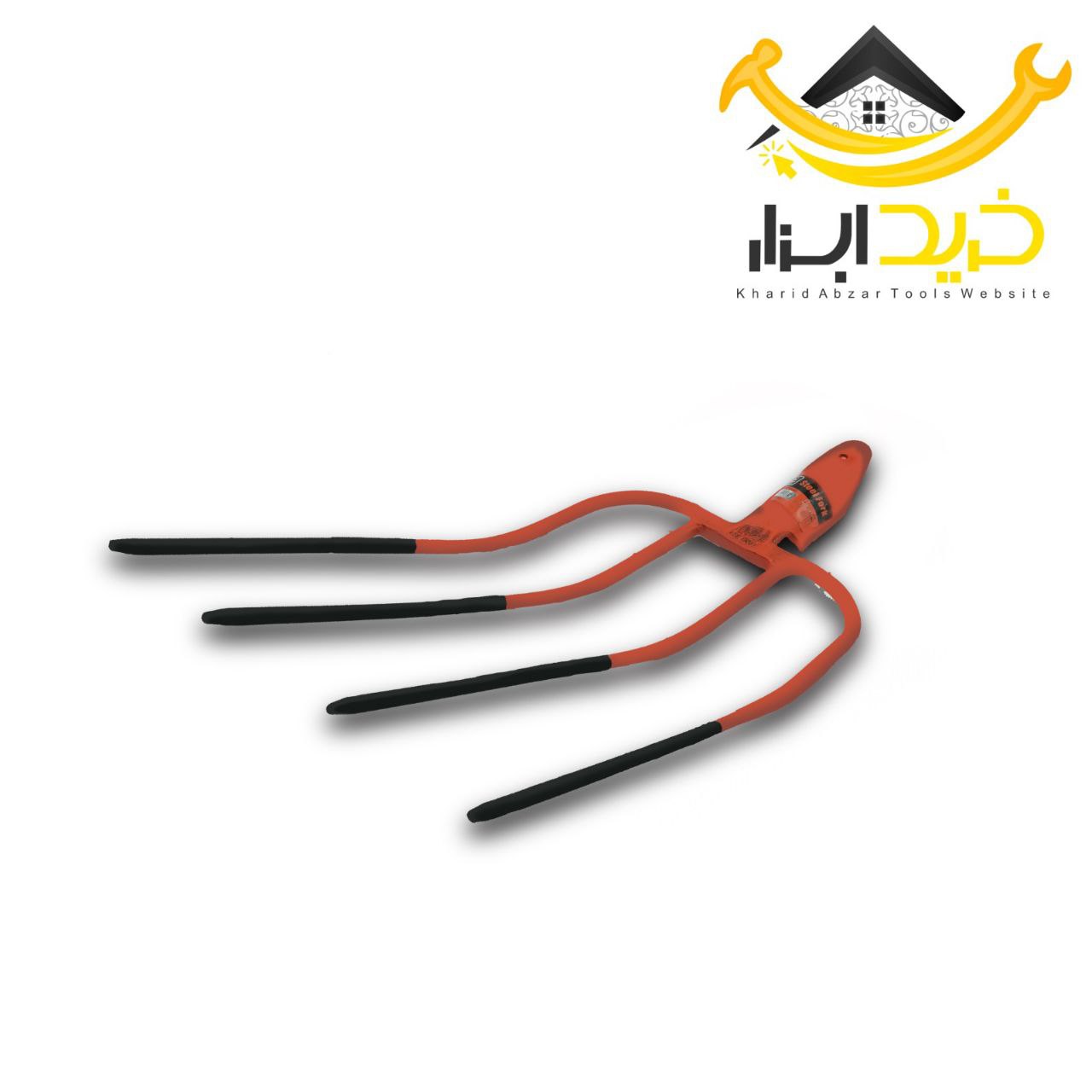 چهار شاخ خارجی الیکس