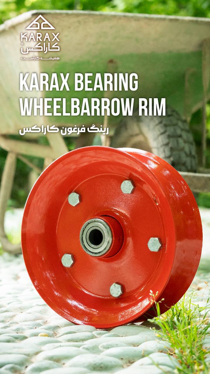 رینگ فرغون بلبرينگ چيني كاراكس