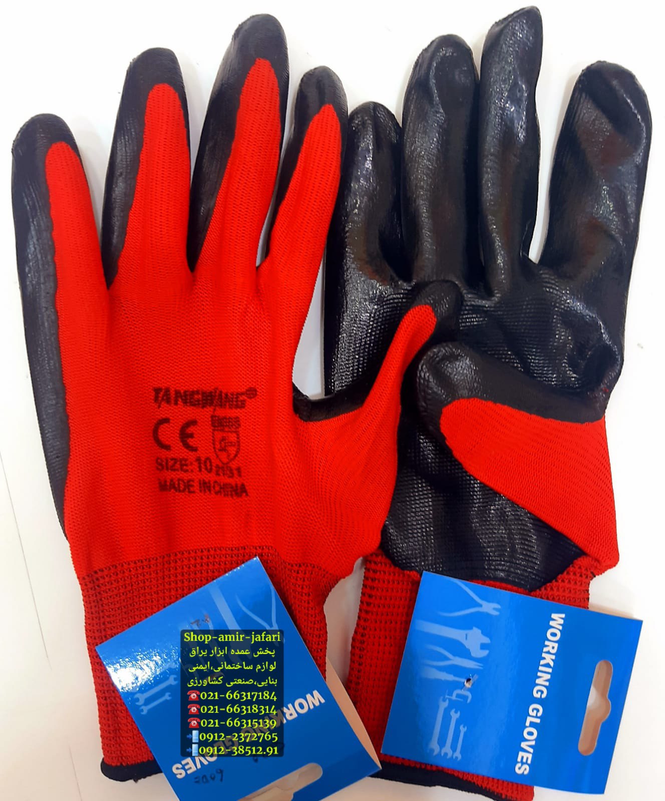 پخش عمده TANGWANG 