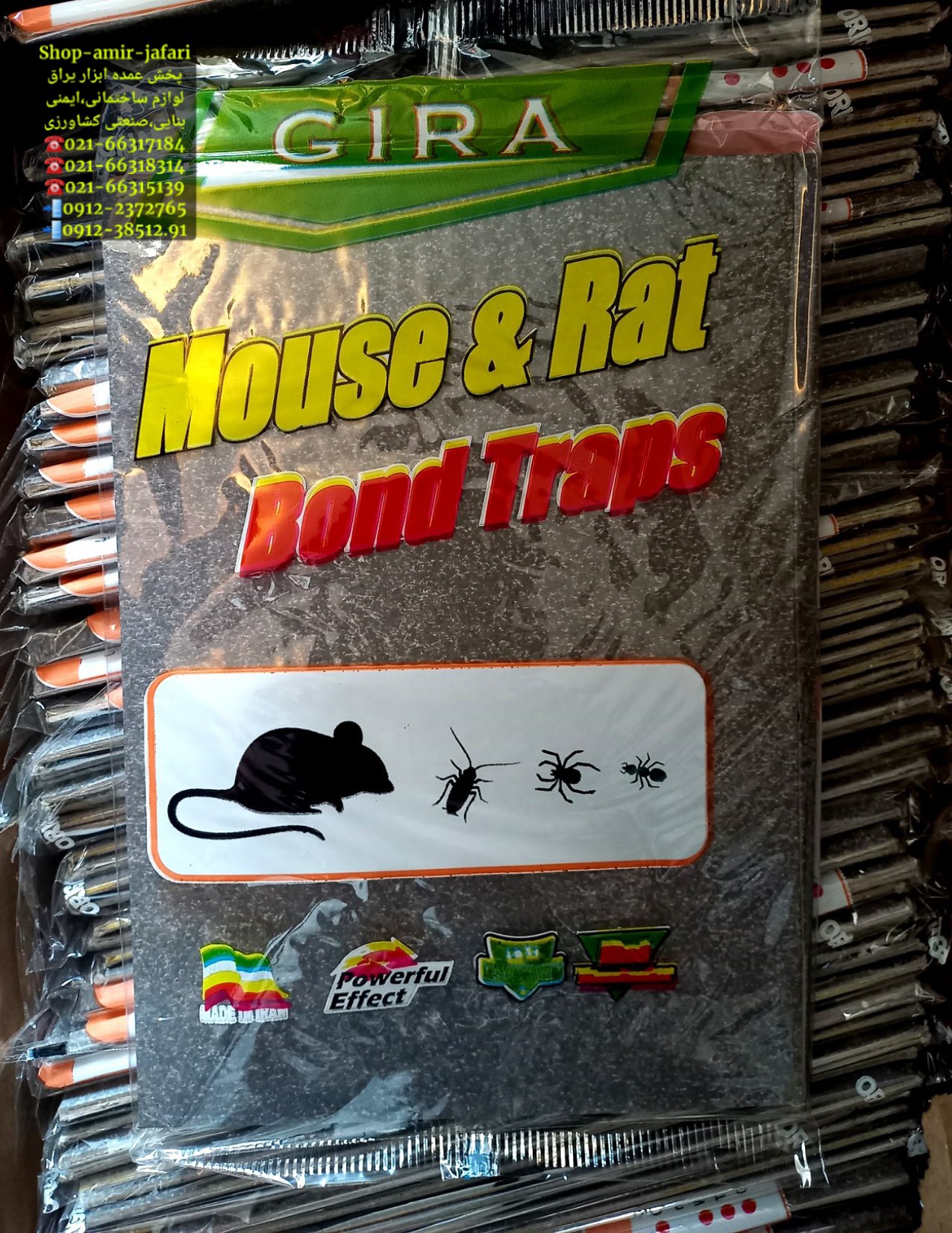 چسب موش و حشره گیر کتابی 