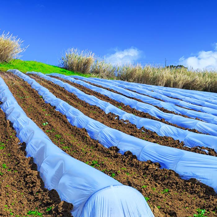 کاور های ضد سرما کشاورزی 