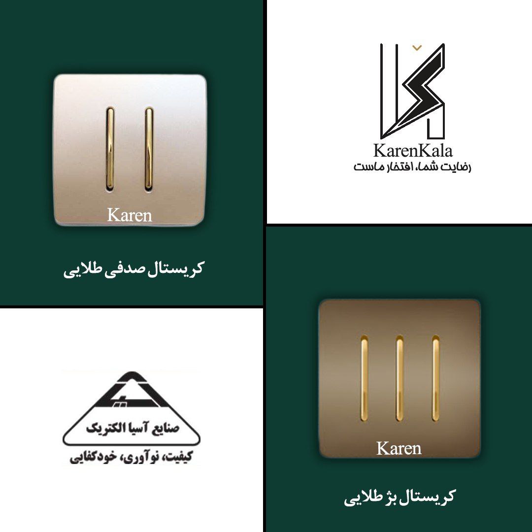 کلید پریز اسیاالکتریک