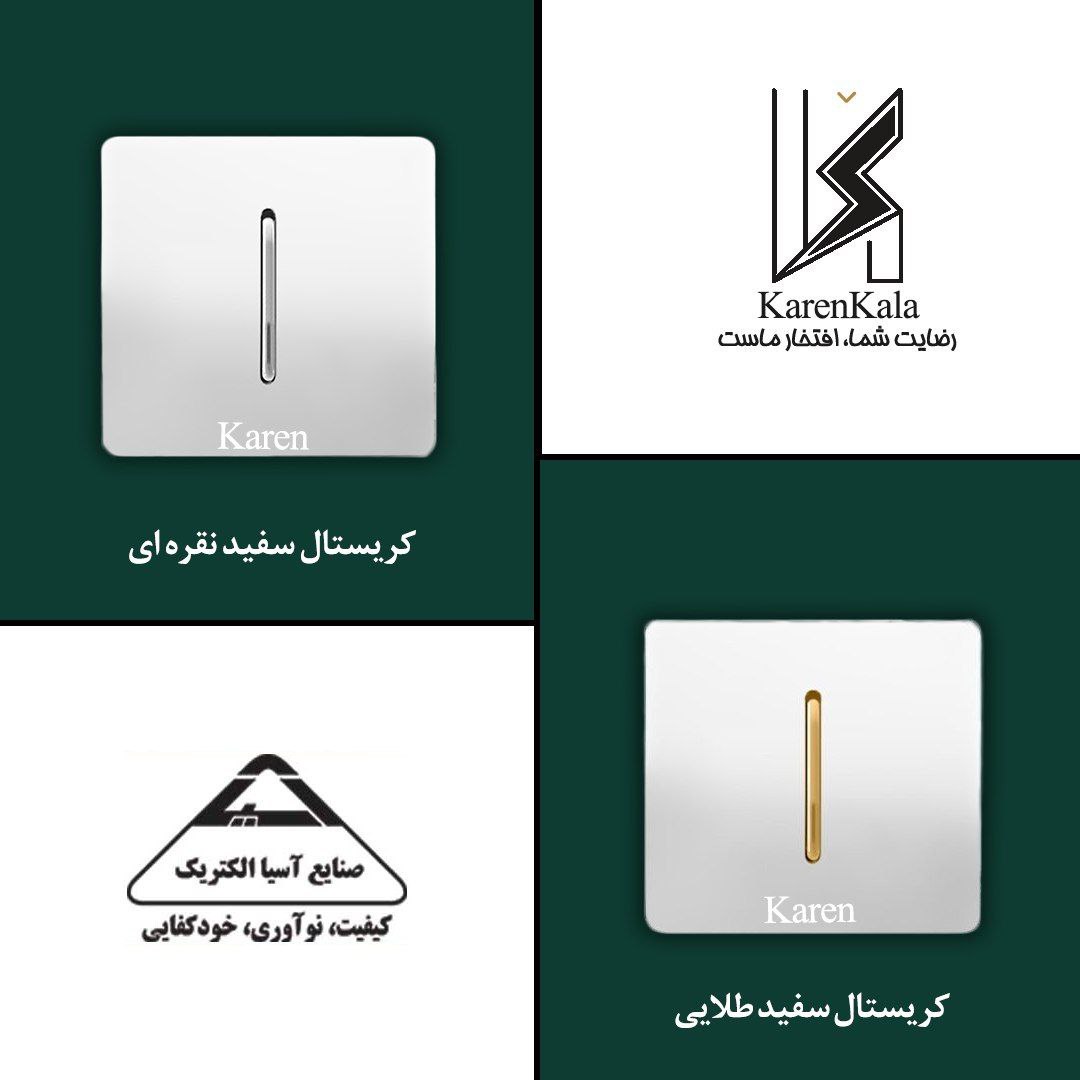 کلید پریز اسیاالکتریک