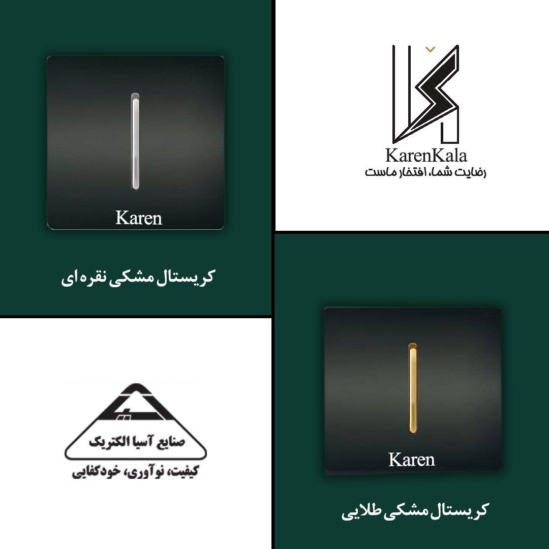 کلید پریز اسیاالکتریک