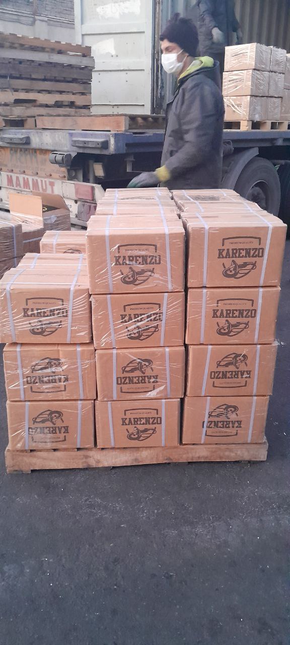 تمام محصولات برند کارنزو شارژ شد 