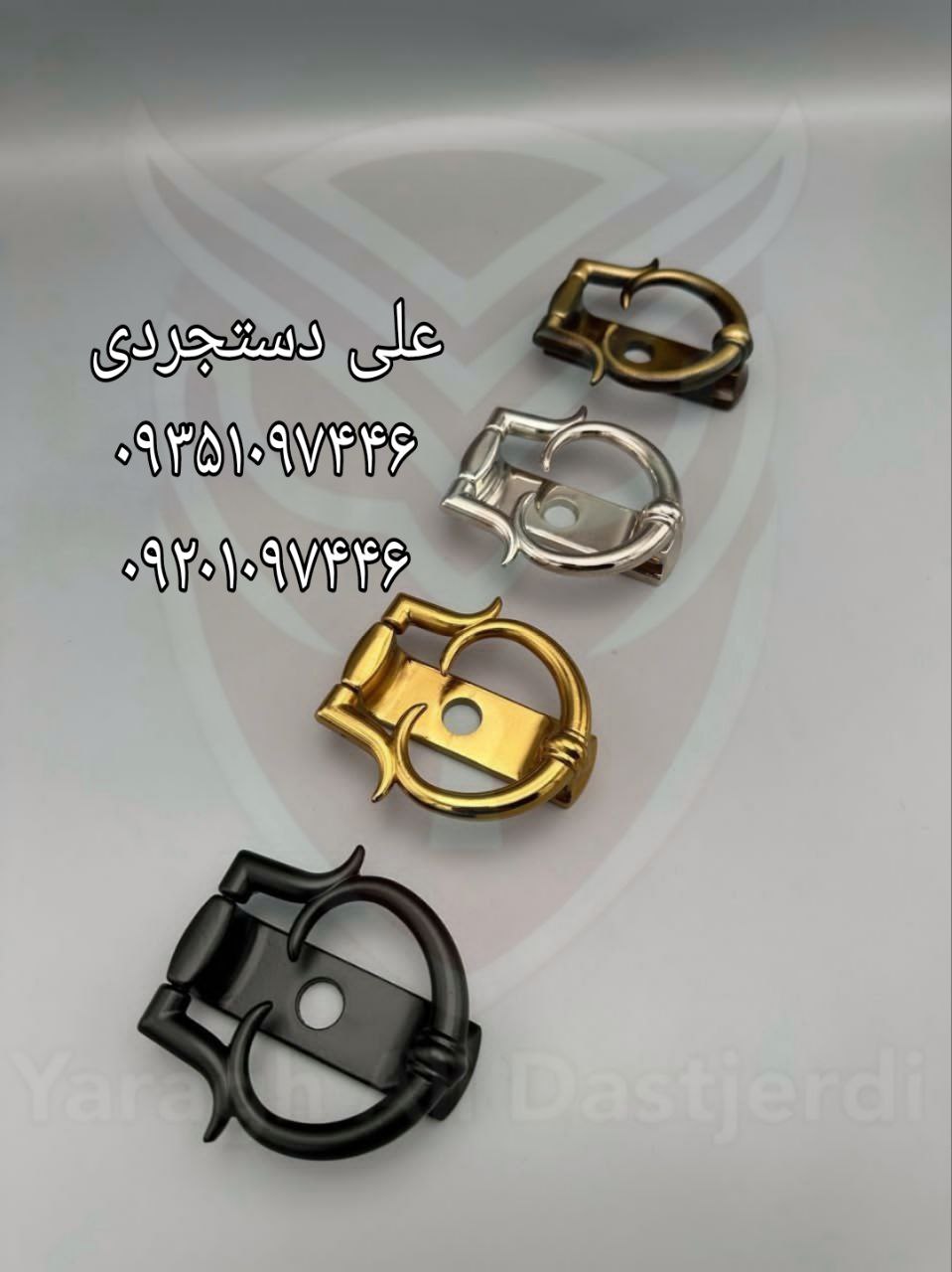 درکوب شاخدار دارای رنگ بندی