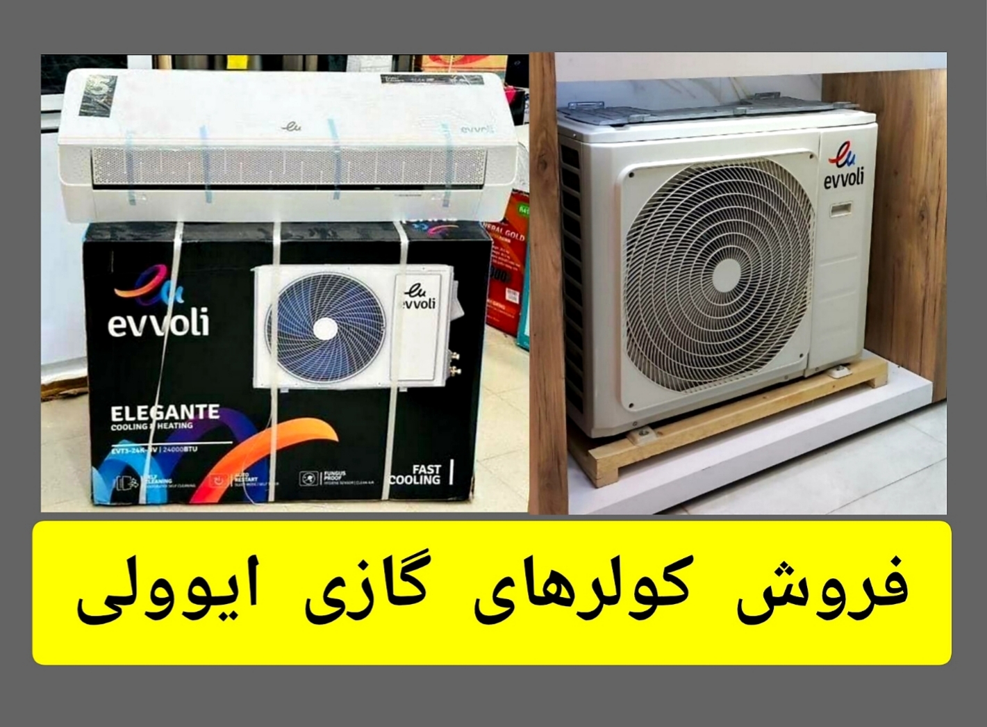 پخش عمده وتکی کولر گاری ایوولی