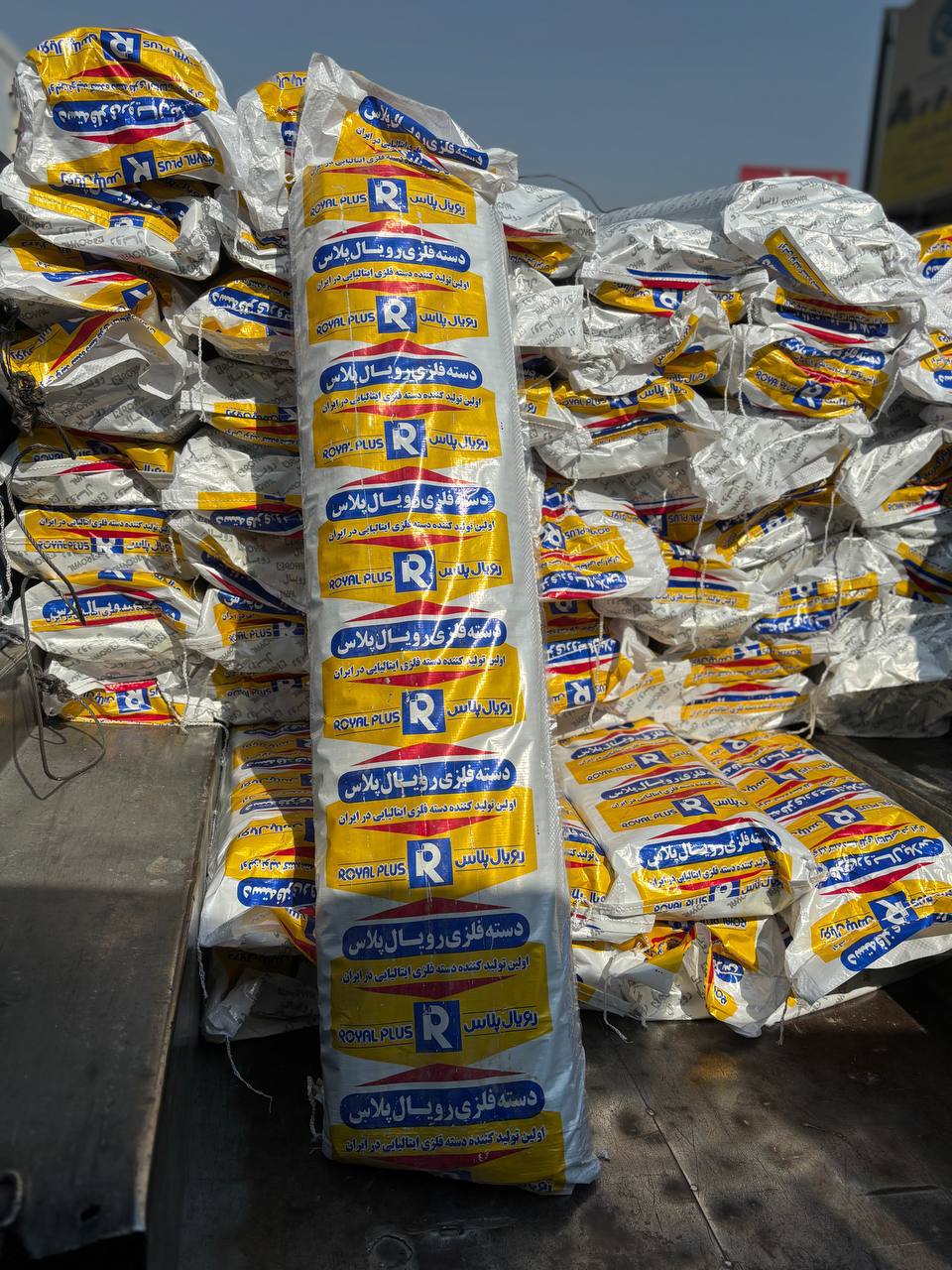 دسته جارو رویال پلاس