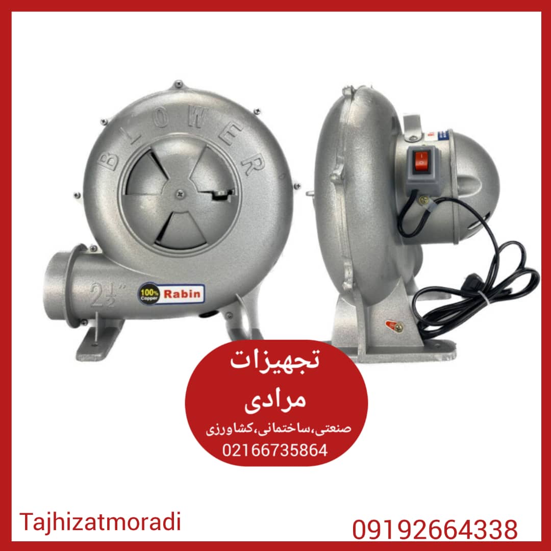 دم برقی رابین