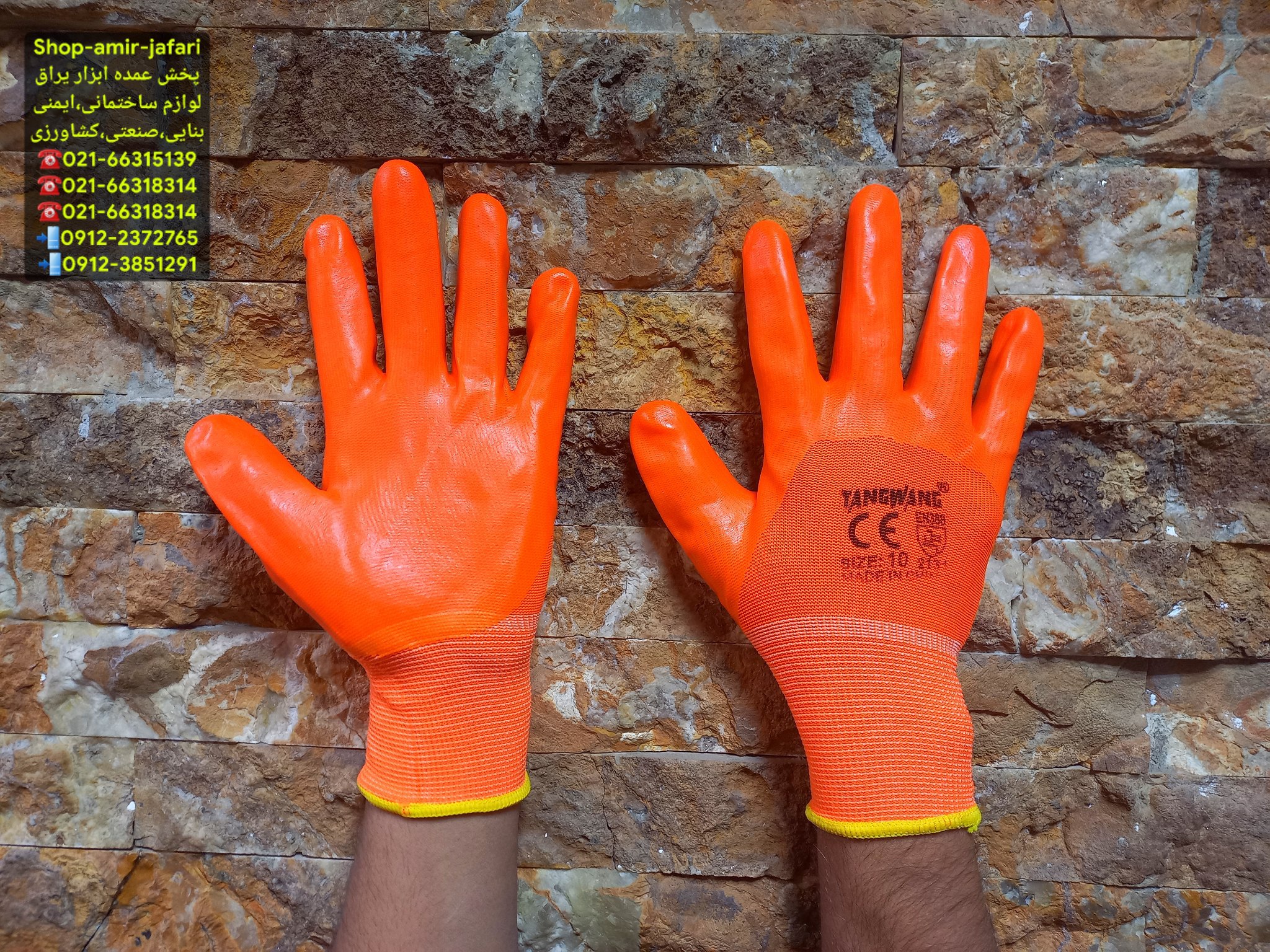 پخش عمده TANGWANG 