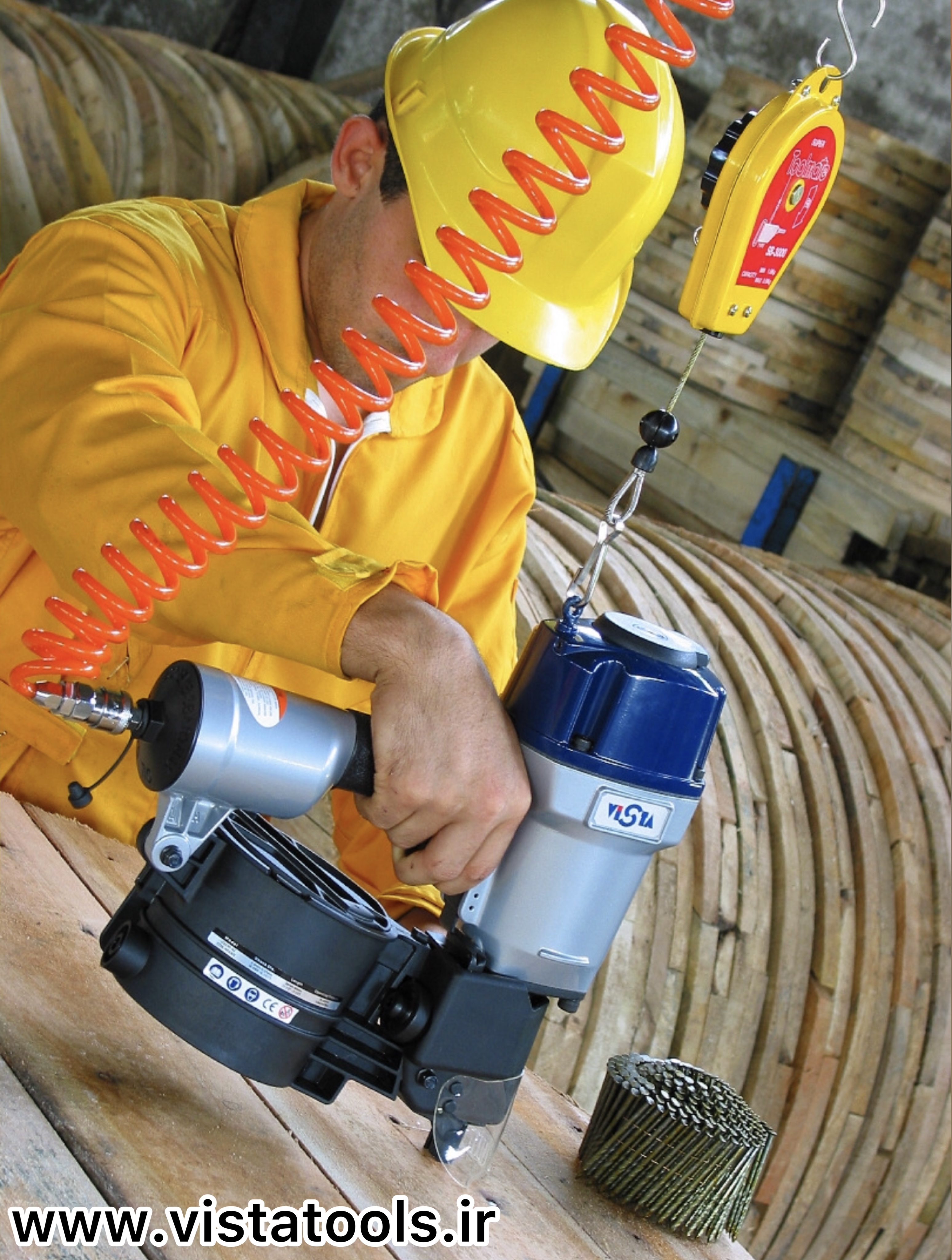 ميخكوب نوارى