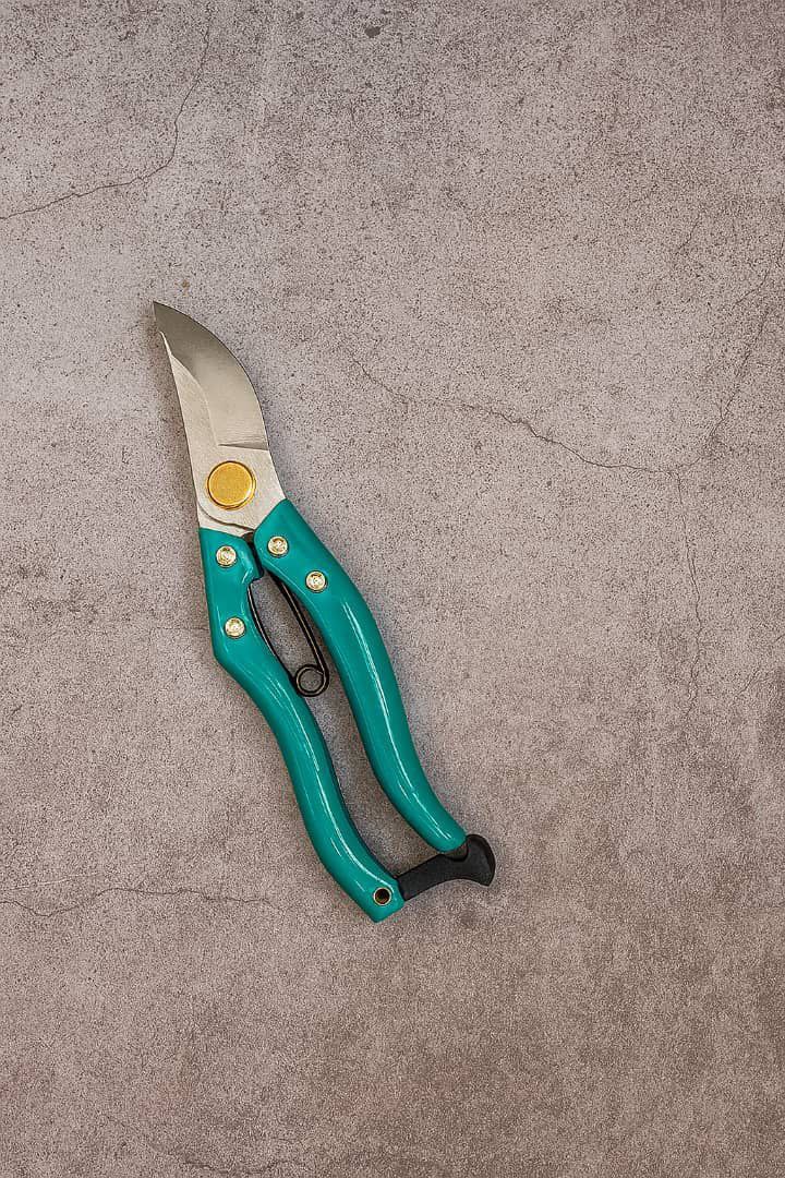 قیچی باغبانی حرفه ای 