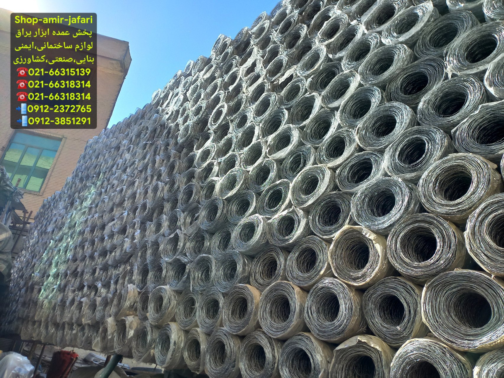 پخش عمده توری فرنگی 