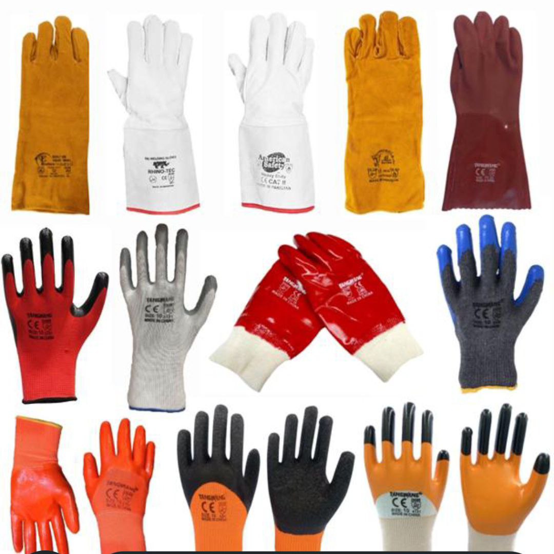 پخش محصولات تانگ وانگ