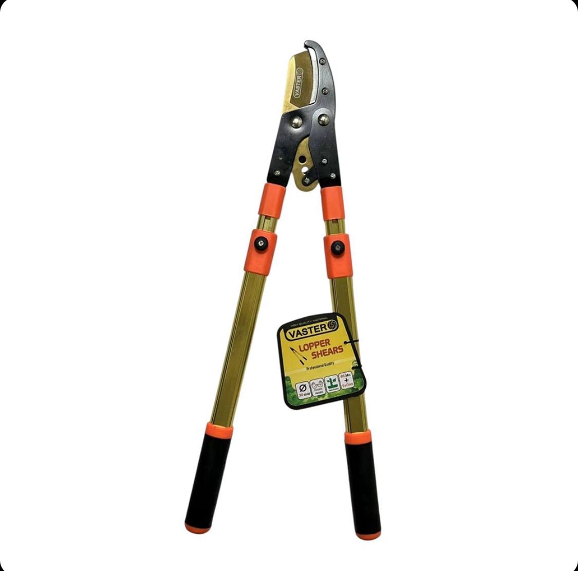 قیچی شاخه زن واستر