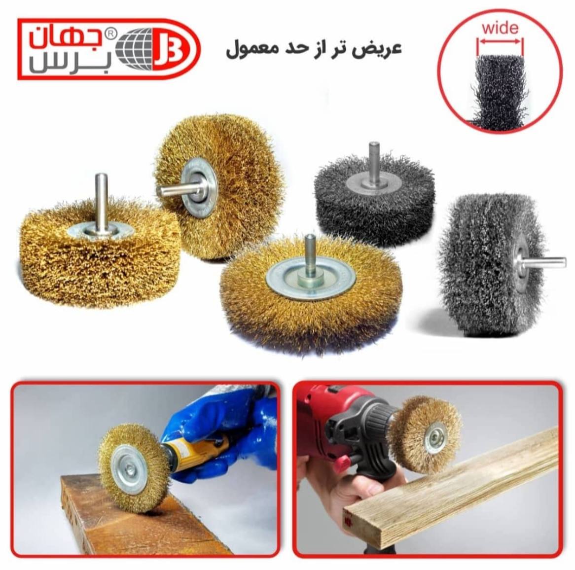 پخش انواع فرچه های سردریلی