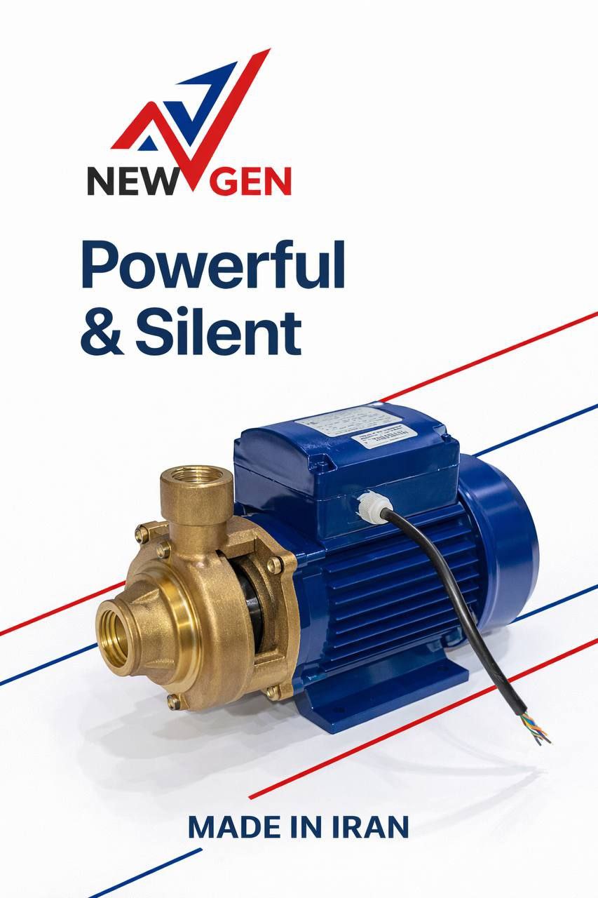 پمپ نيم اسب محيطي برنزي Fm45br نيوژن