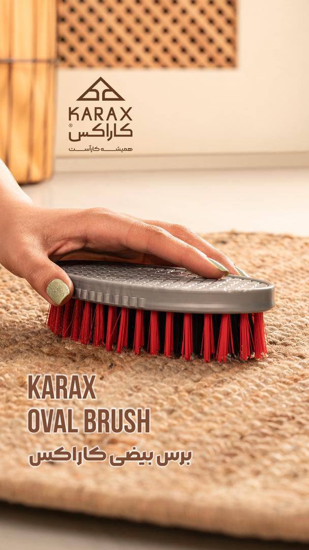 برس بيضي كاراكس