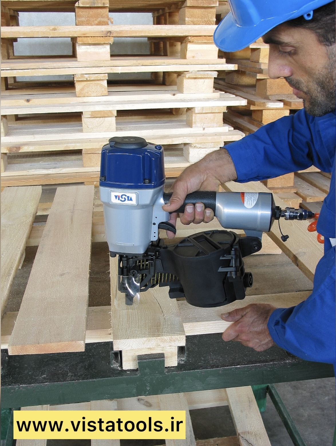 ميخكوب نوارى