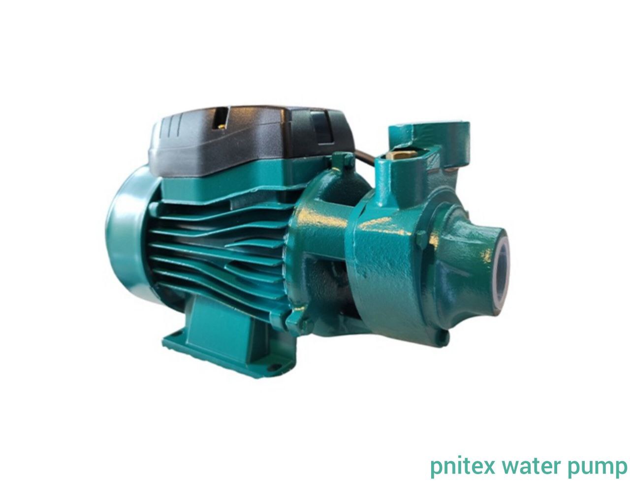 پمپ یک اسب محیطی پنیتکس 