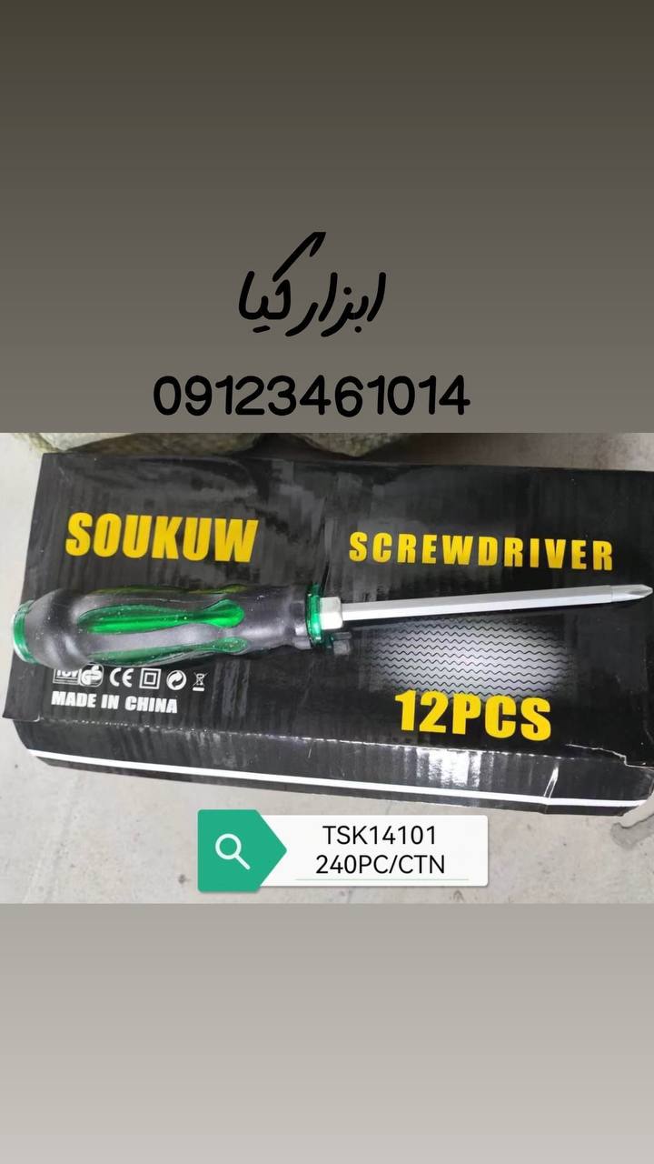  پیچگوشتی دو طرفه ۶/۱۰۰