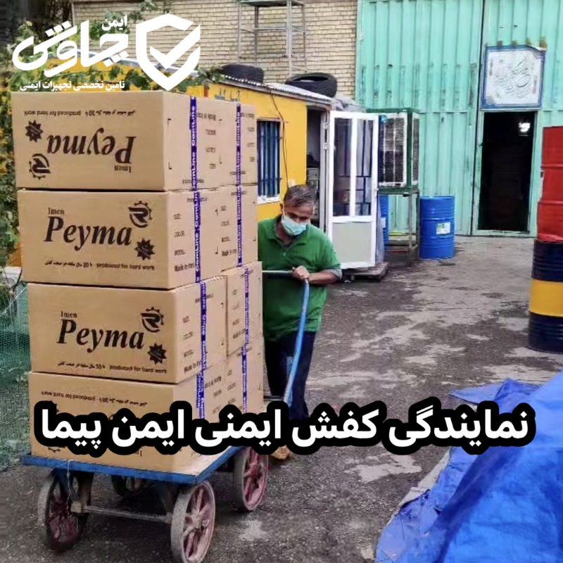 نمایندگی کفش ایمنی ایمن پیما