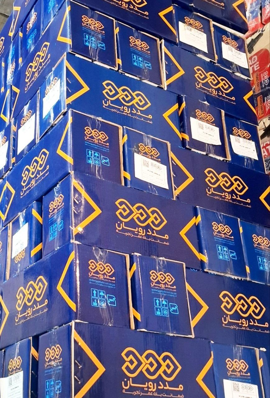 جک لوزی جک تاشو 
