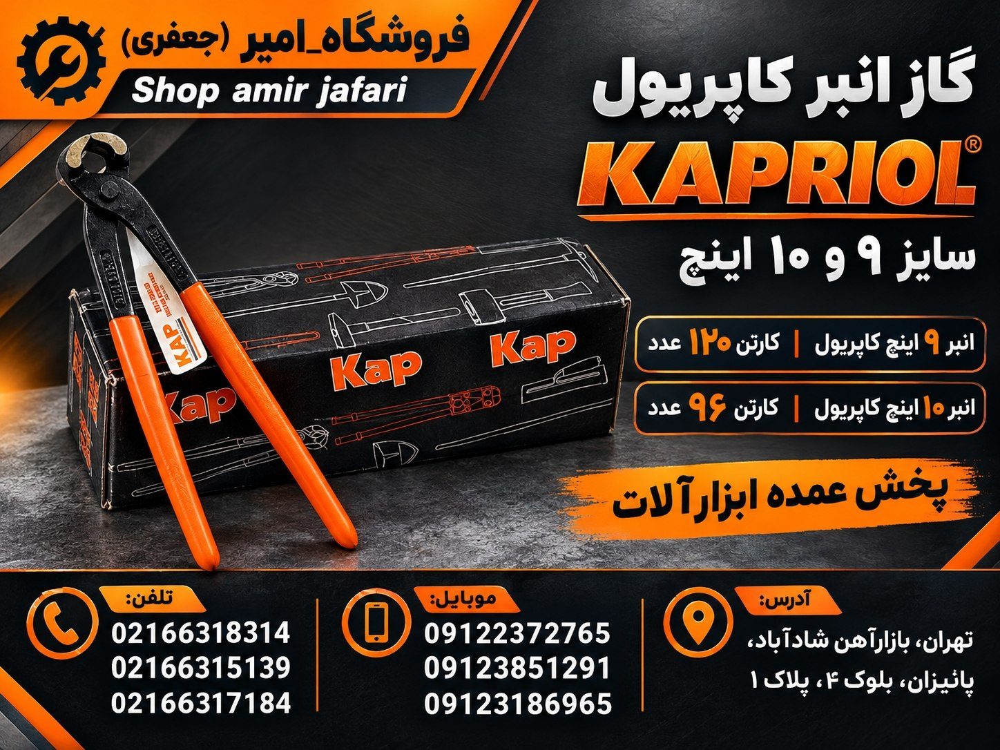 گاز انبر "9 و "10 اینچ Kapriol 