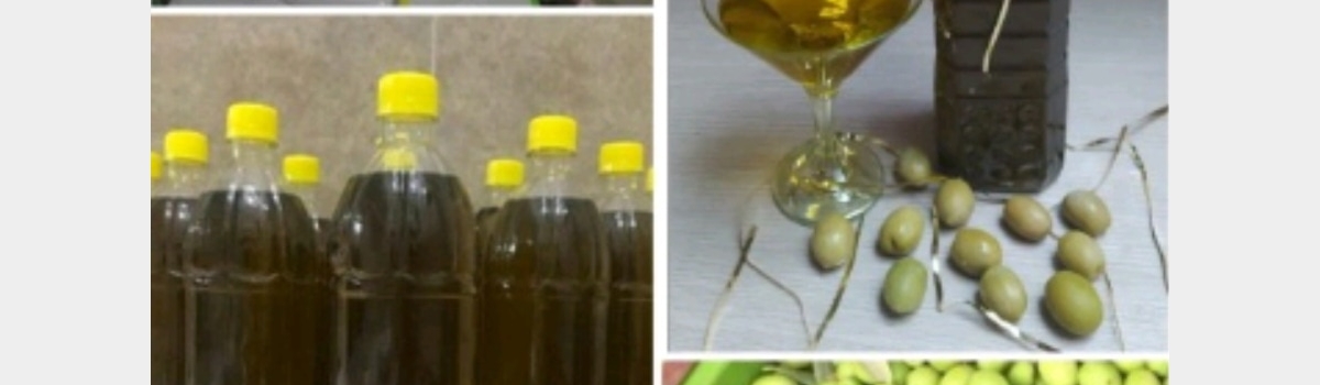 تامبنیل فروشگاه
